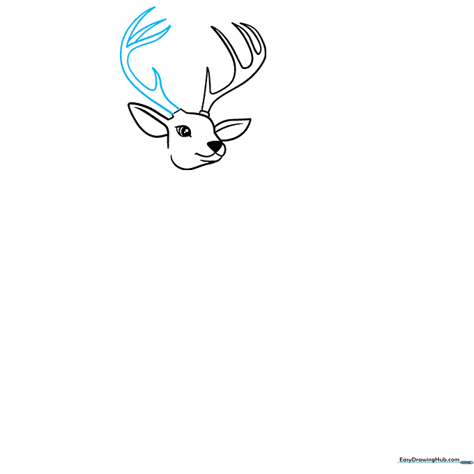 Completing the second antler to match the first on the deer's head.