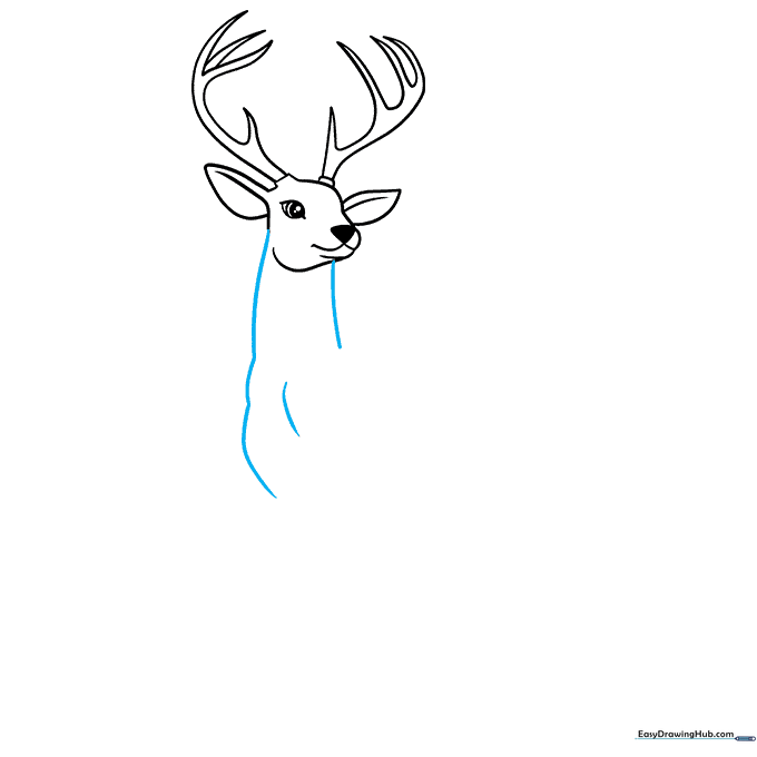 Drawing the neck and chest lines to build the deer's body frame.