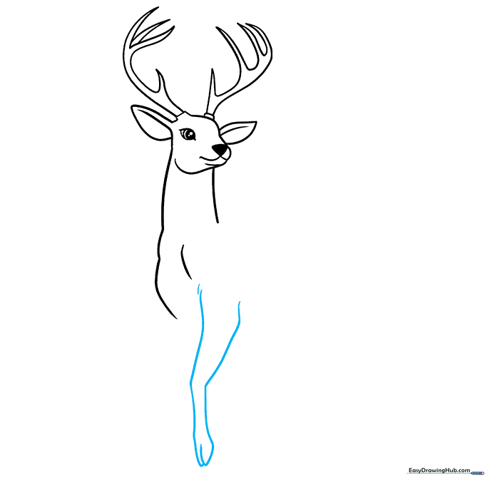Sketching the first front leg with a clear cloven hoof detail.