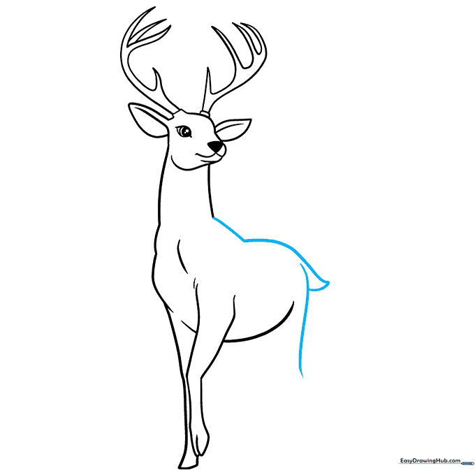 Outlining the deer's back and tail structure.