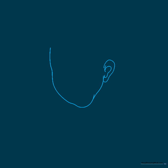 Pencil outline of a female face shape showing the chin, cheek, and ear structure.