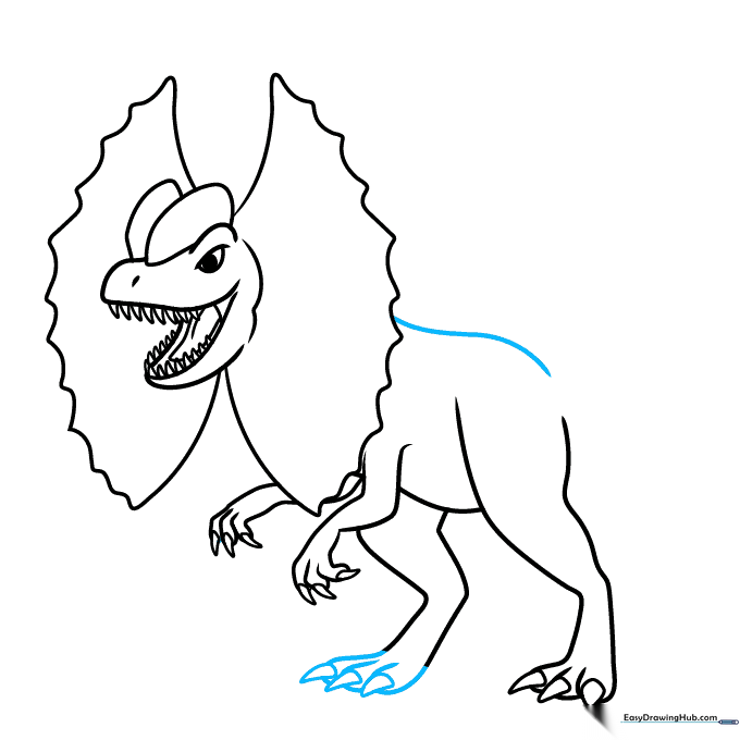Finalizing the rear foot and drawing the back line.