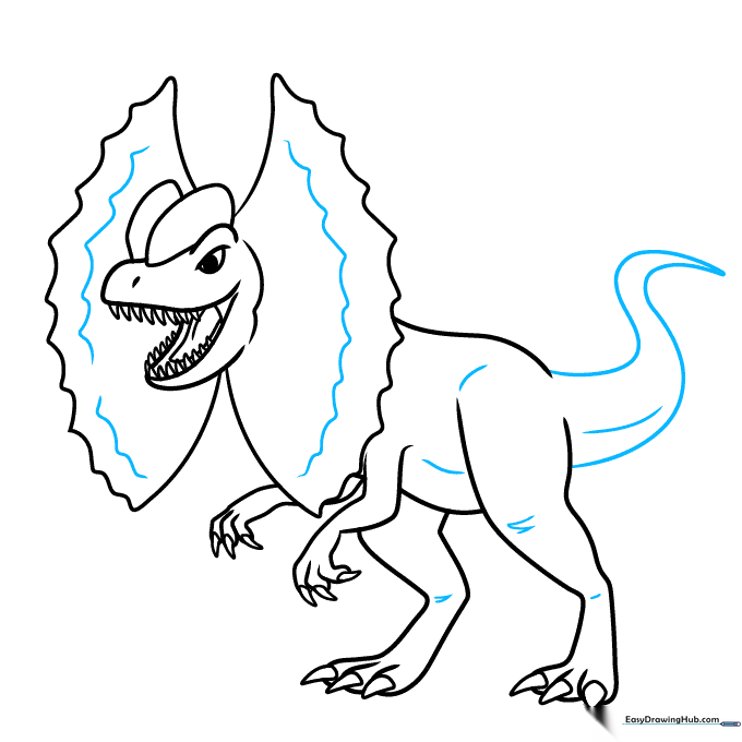 Drawing the long tail and adding final body contours.