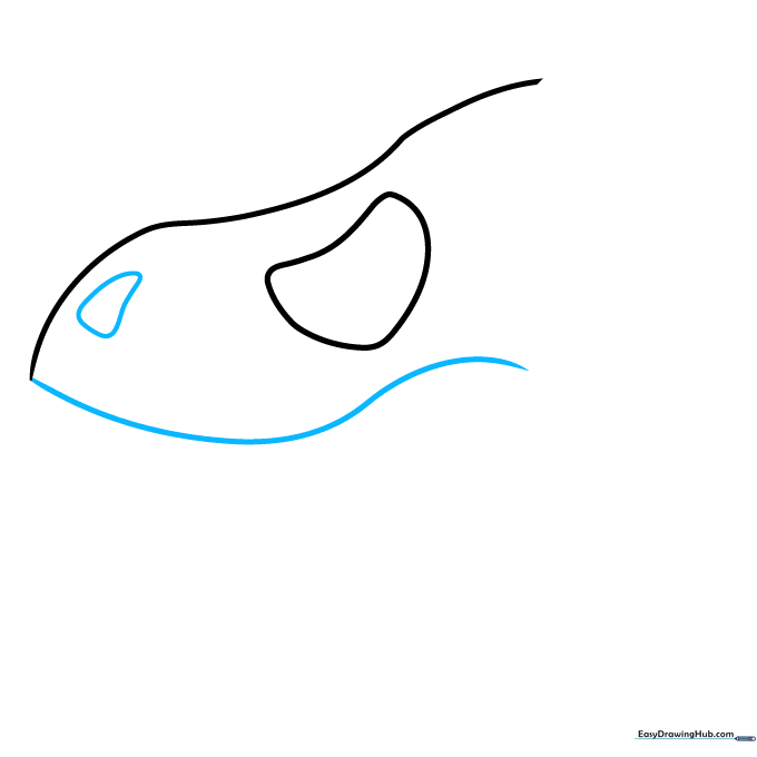 Drawing the upper jaw line and the triangular nose opening of the dinosaur skull.