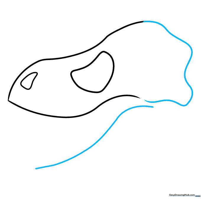 Adding the back of the skull and the top contour of the lower jaw bone.