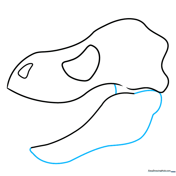 Connecting the lower jaw to the skull and adding the jaw hinge detail.