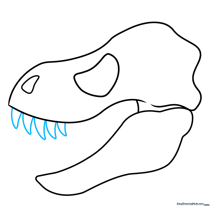 Sketching sharp, triangular teeth in the front section of the dinosaur's mouth.