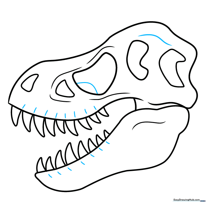 Finalizing the dinosaur skull outline with clean, bold strokes.