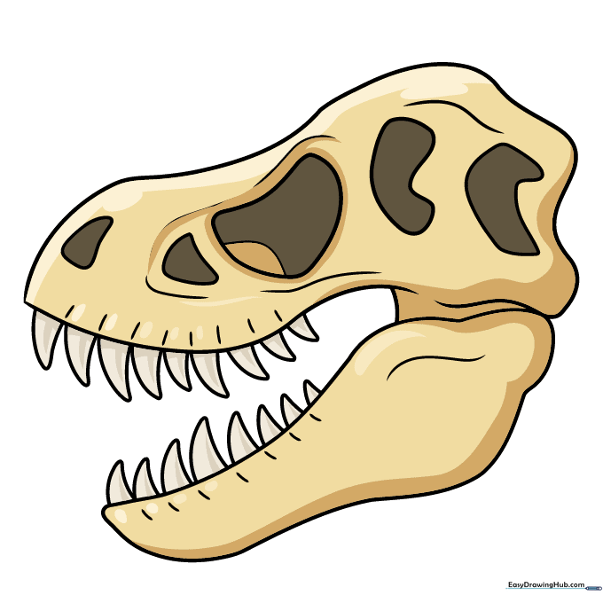 A fully colored, fossilized dinosaur skull drawing with realistic stone-like textures.