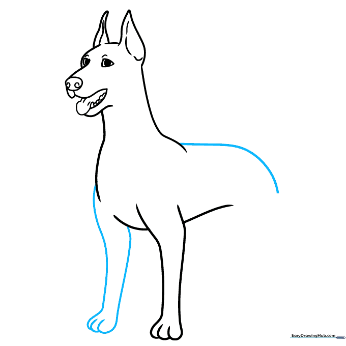 Adding the second front leg and the long, arched back line of the Doberman.
