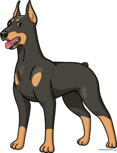 A vibrant, finished cartoon Doberman drawing, showcasing the final result of the tutorial.
