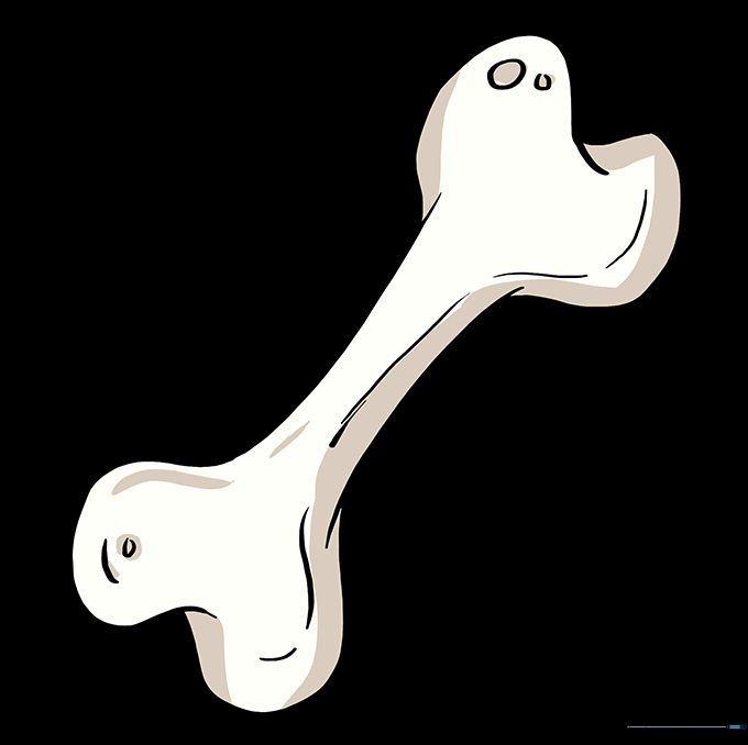 The finished dog bone drawing, fully colored with soft tan and white tones.