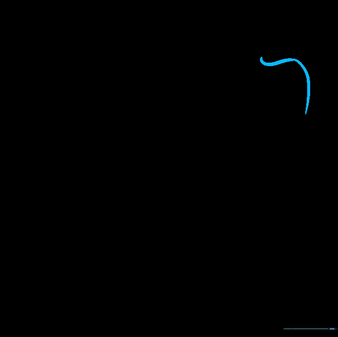 A curved line added to the end of the bone to create the first rounded lobe.