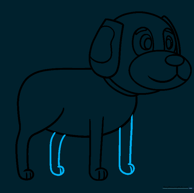 Adding the remaining legs to complete the dog's stance.