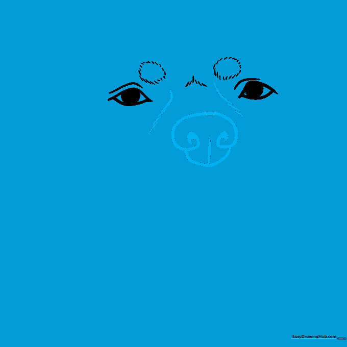 Drawing the dog's snout and nose structure centered below the eyes.