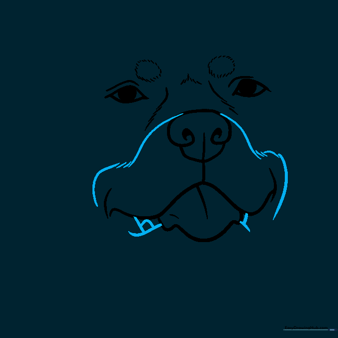 Detailing the dog's mouth with small, sharp teeth.