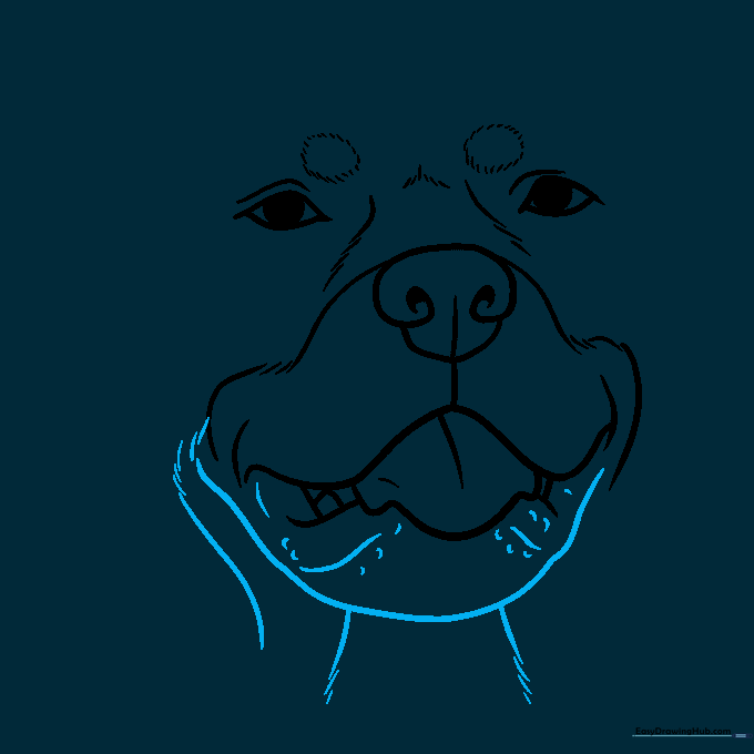 Defining the dog's chin and adding fur texture with short, curved lines.