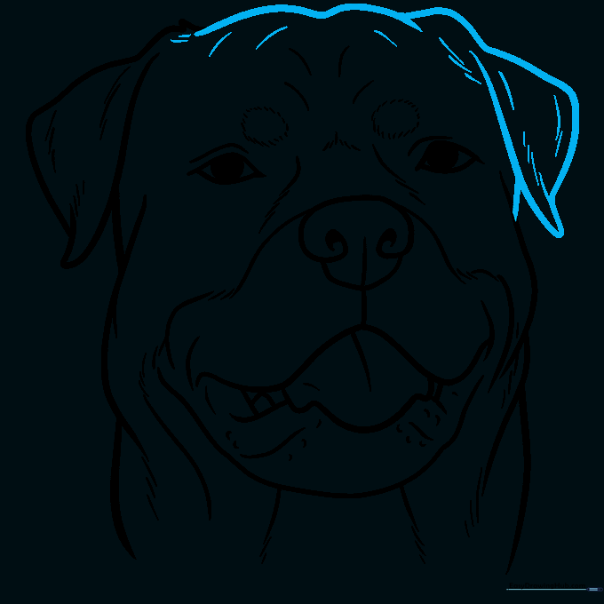 Completing the head shape with top fur details.