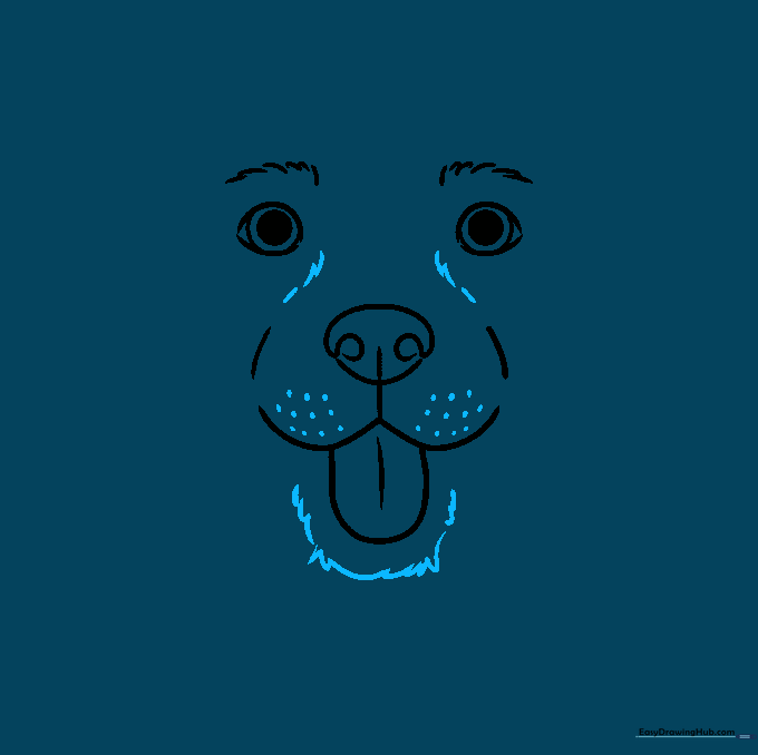 Close-up of the dog's muzzle with added fur texture and whisker dots.