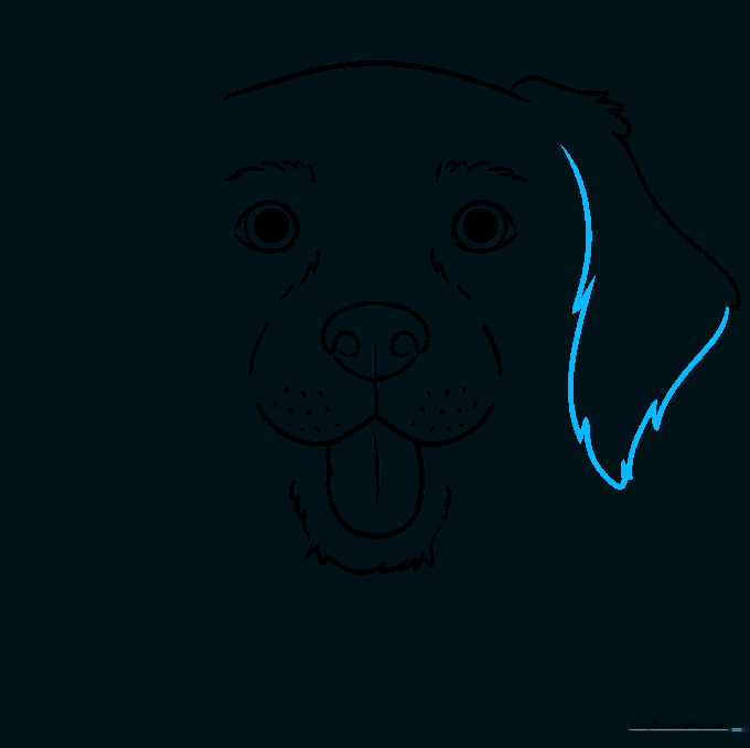 Drawing the first floppy ear with jagged fur edges.