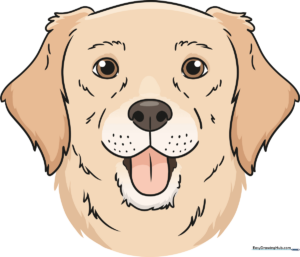 A colorful, friendly cartoon dog head illustration, perfect for kids to learn drawing.
