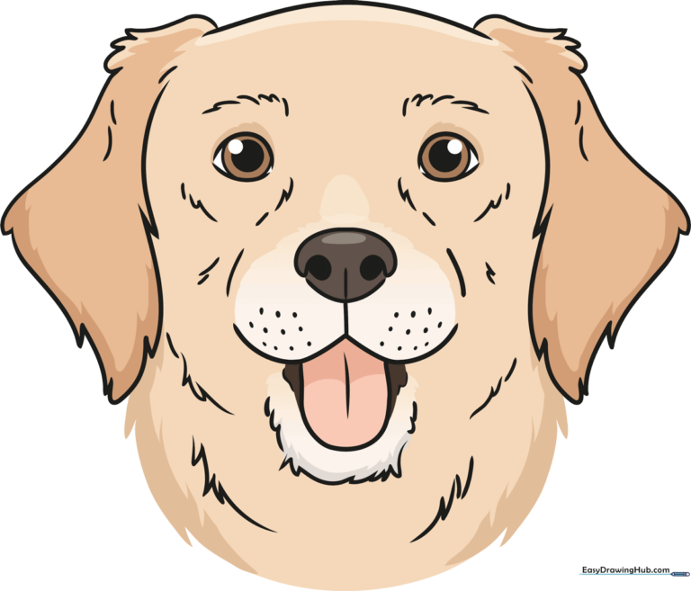 A colorful, friendly cartoon dog head illustration, perfect for kids to learn drawing.