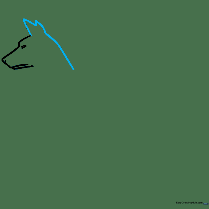 Drawing showing the addition of two pointed ears and the beginning of the neck line.