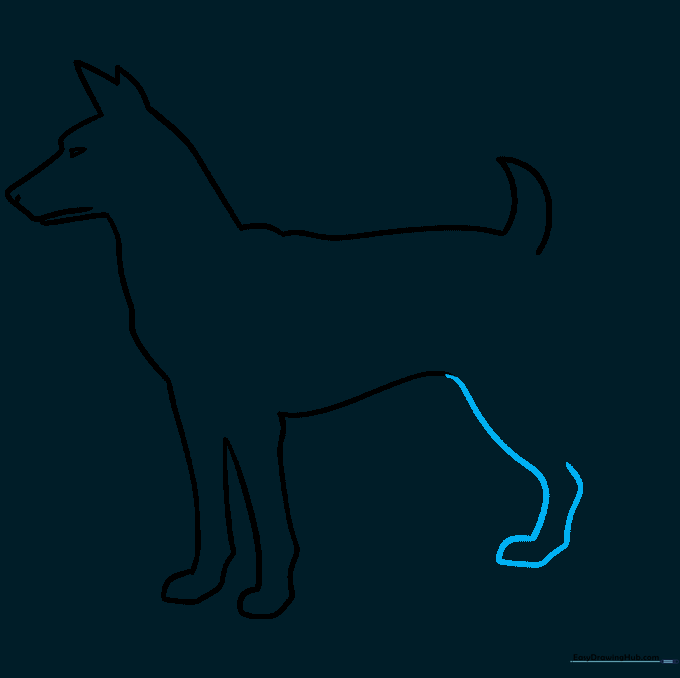 Drawing showing the addition of the rear leg to the dog's body outline.