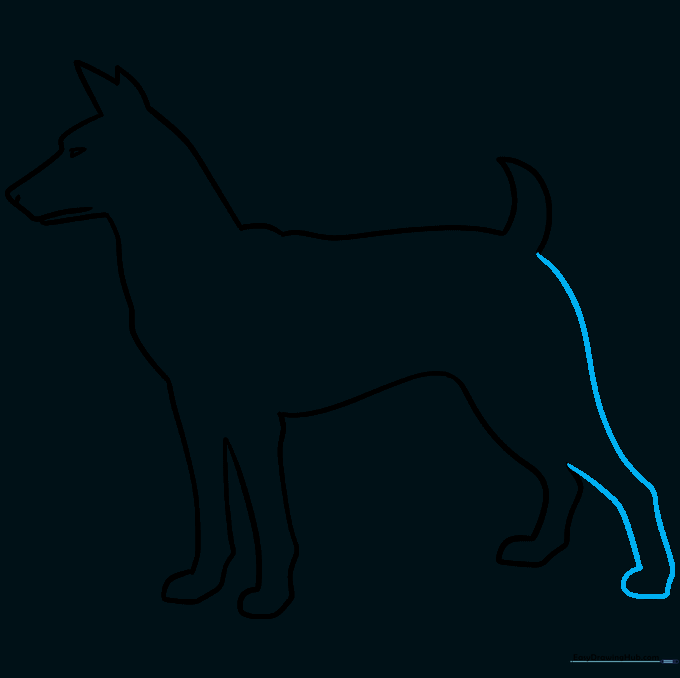 Drawing showing the completed dog outline with all legs and body parts connected.