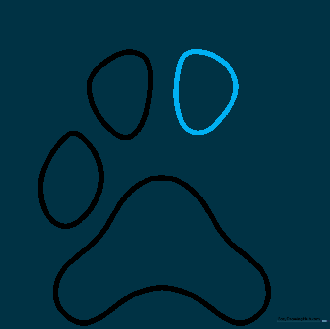 Adding a third oval toe pad to the paw print drawing.
