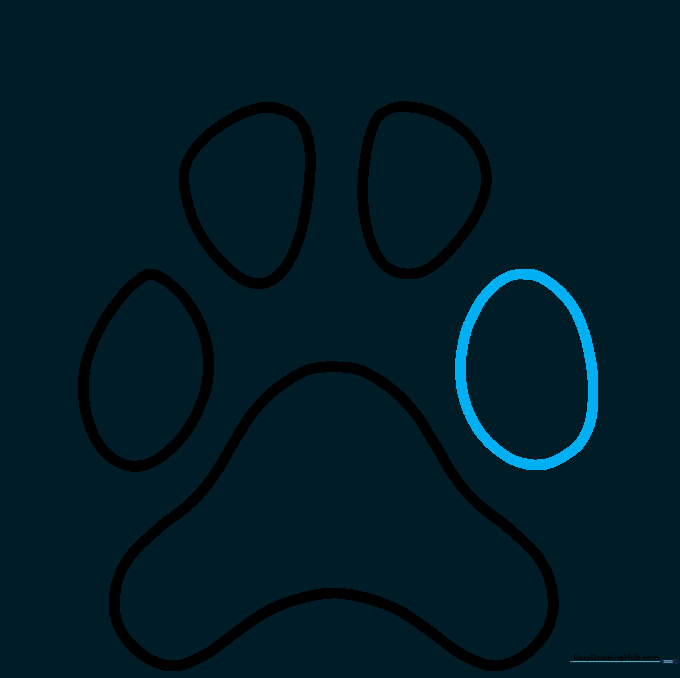 Adding the fourth and final toe pad to complete the paw structure.