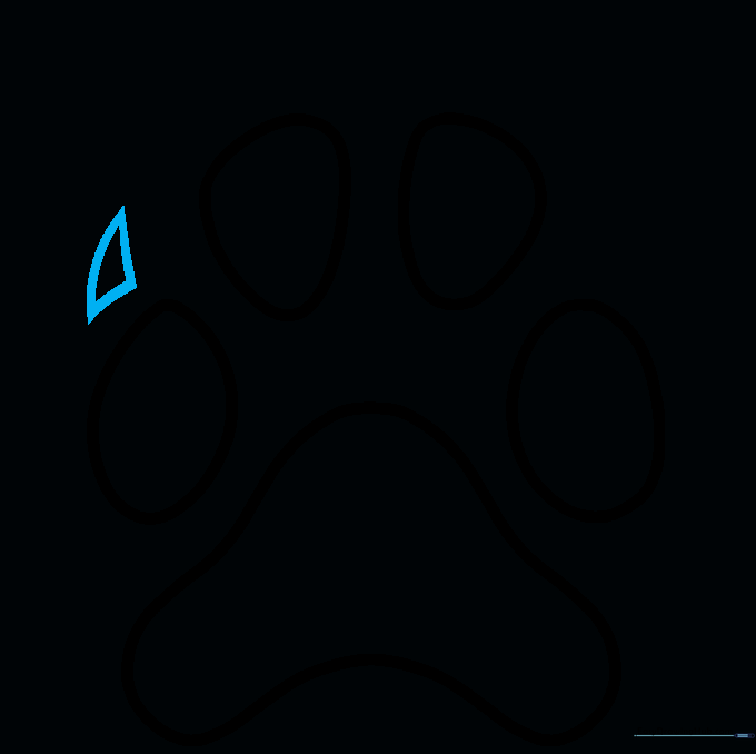 Drawing a small triangle shape above a toe pad to represent a claw.