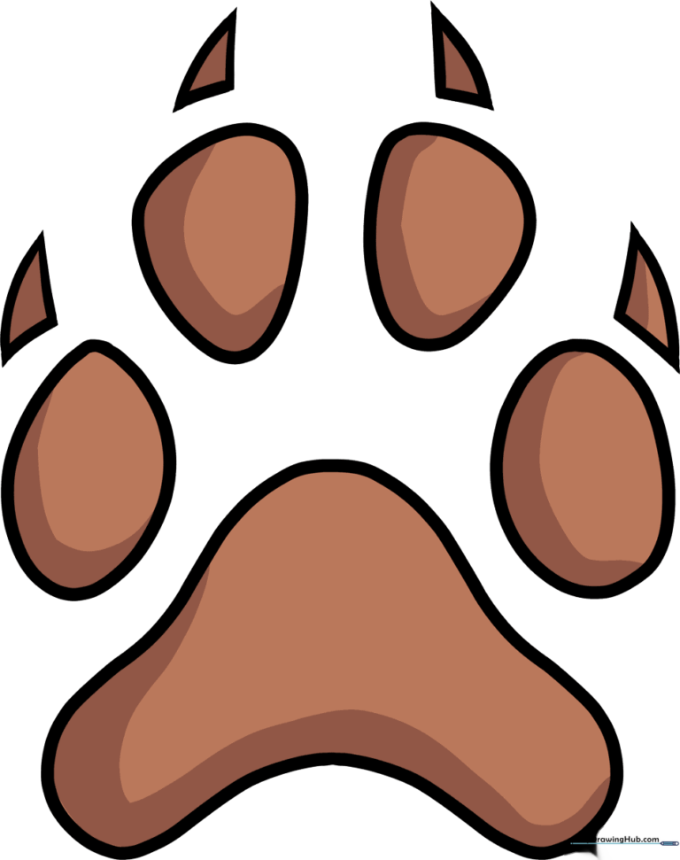 A completed, colorful dog paw print illustration, perfect for kids' art projects.