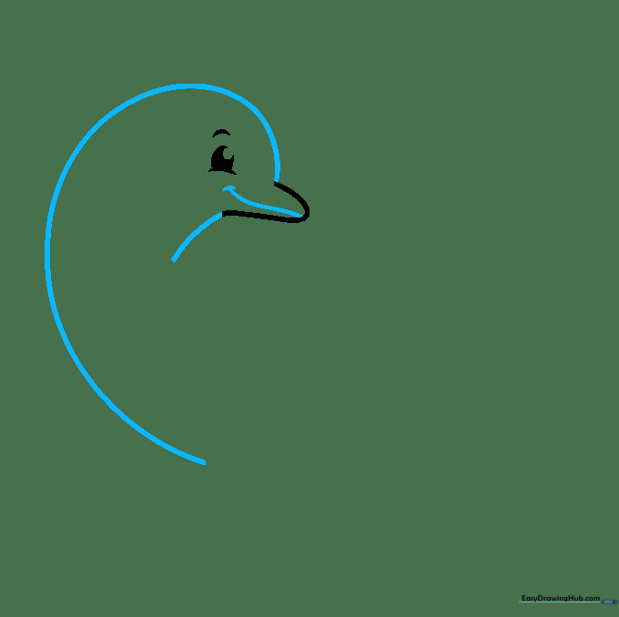 Sketch of a dolphin body outline showing the transition from head to tail.