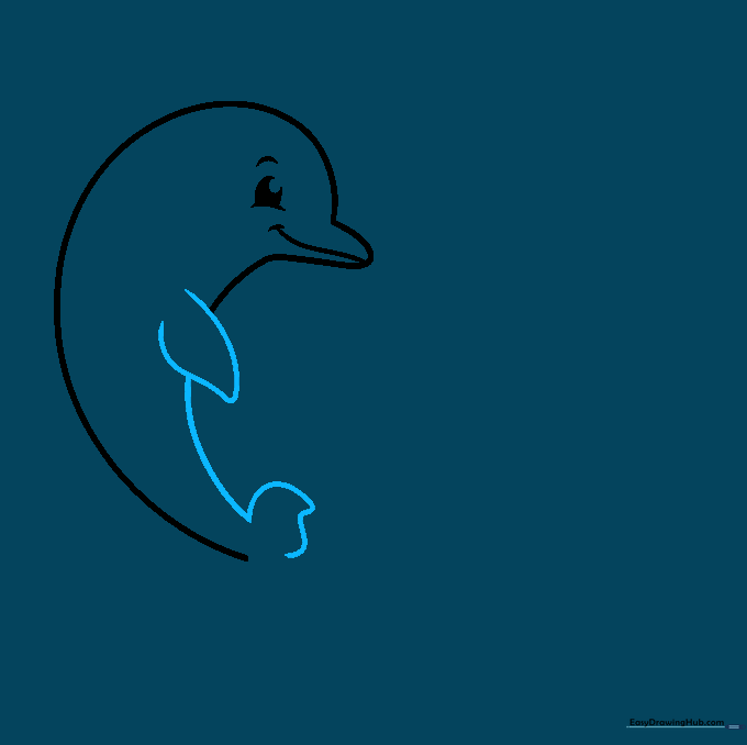 Drawing the dolphin's pectoral flipper and the first half of the tail fin.