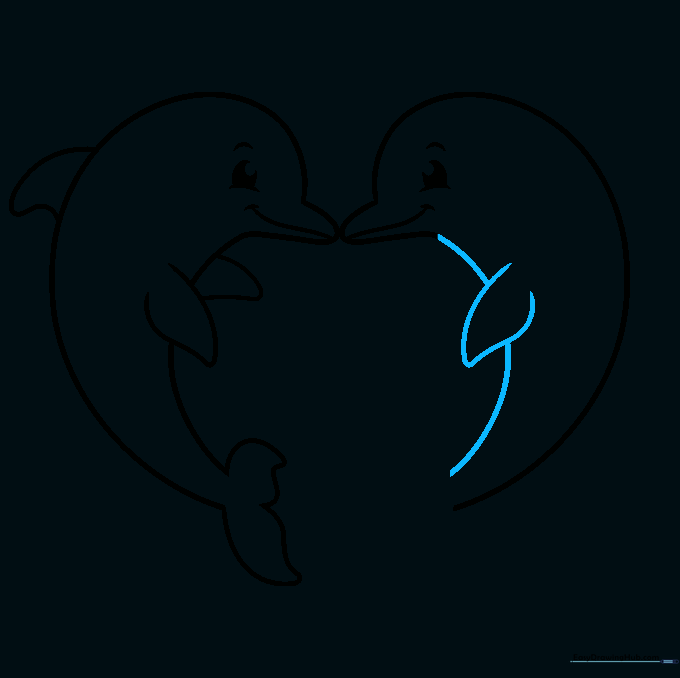 Drawing the pectoral flipper and belly line for the second dolphin.
