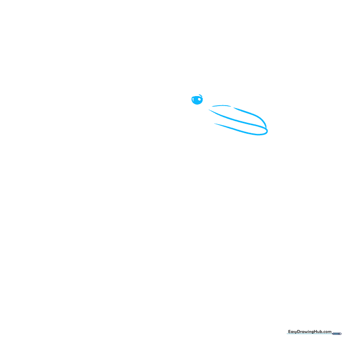 Close-up sketch of a dolphin's eye and snout showing the initial curved lines and circular eye detail.