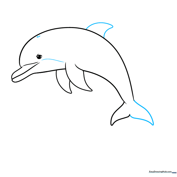 Adding the dorsal fin on the dolphin's back and a small blowhole detail on the head.