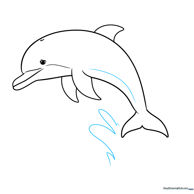 Drawing the dolphin's underbelly line and the beginning of the water splash effect.