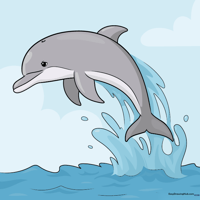 A fully colored drawing of a dolphin jumping out of the water with grey skin and blue splashing water.