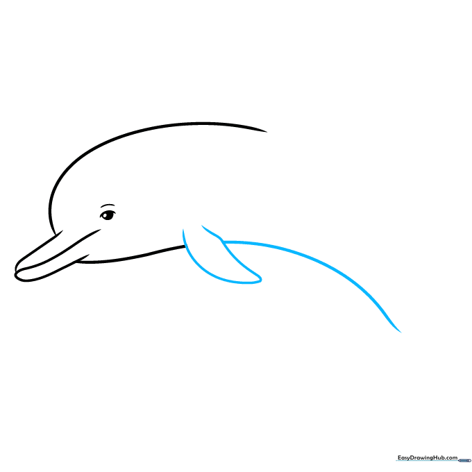 Sketching the dolphin's side fin and the start of the belly line.