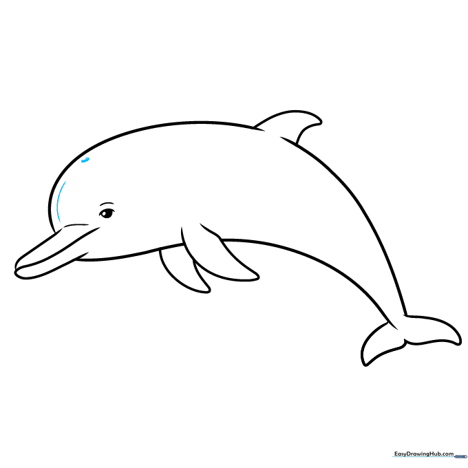Adding the blowhole detail to the top of the dolphin's head.