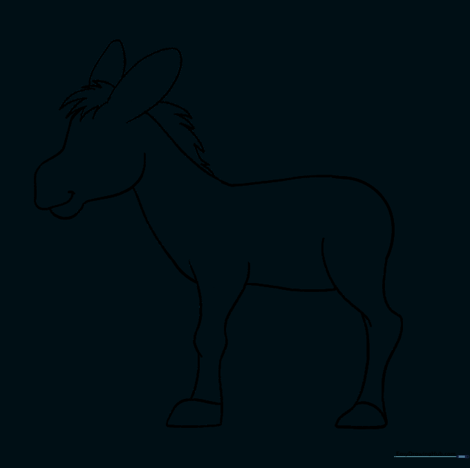 The donkey drawing with internal guide lines erased, showing a clean outline.