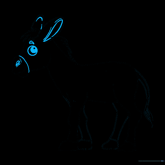 Close-up of the donkey's face with eye and nostril details added.