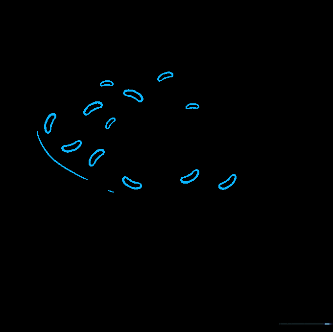 A donut with added volume lines and several small bean-shaped sprinkles on the icing.