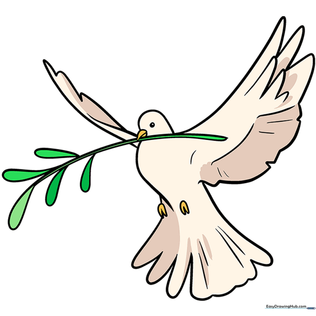Final colored illustration of a dove holding an olive branch.