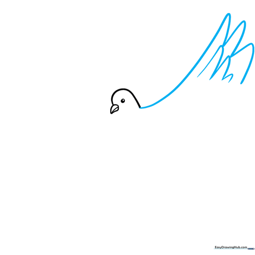 Drawing the top edge of the dove wing with U-shaped feather details.