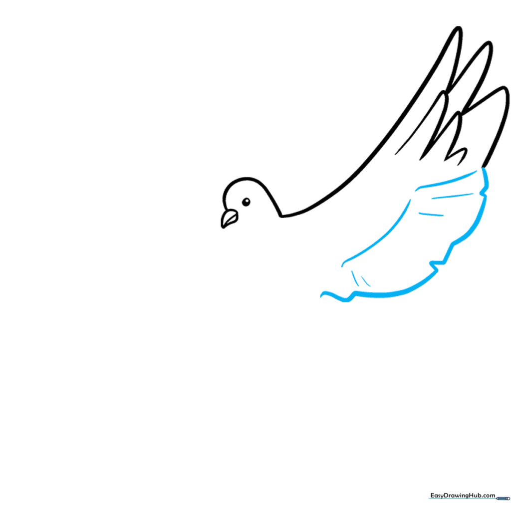 Adding texture to the dove wing using V-shaped contour lines.
