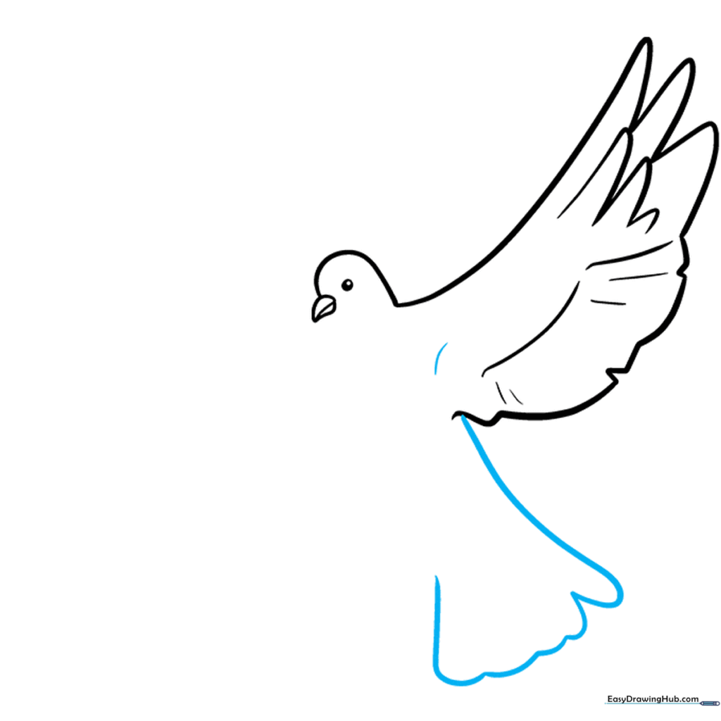 Outlining the dove tail feathers with long curved lines.