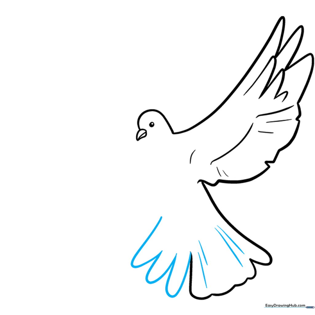 Adding detail and volume to the dove tail feathers.